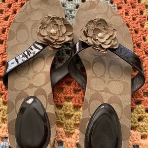 Coach Brown Samira Logo Sandal